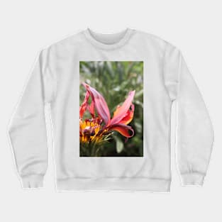 Wilting flower Crewneck Sweatshirt